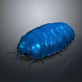 Blue Glossy Armored Insect Like Creature 3D Rendered Model With Shiny Exoskeleton