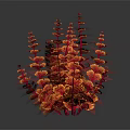 Tropical Fish Swimming Around Red And Yellow Coral Structure On Dark Background With Reflection