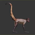 Realistic 3D Model of Monkey With Long Tail and Tan Fur on Dark Background