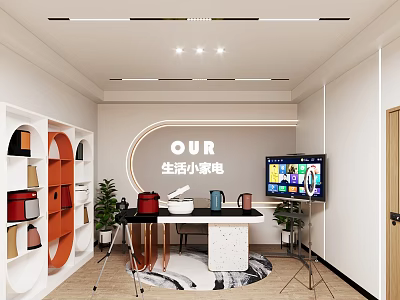 Modern Small Household Appliances Display Interior With Shelves Plants And TV Screen 3d model