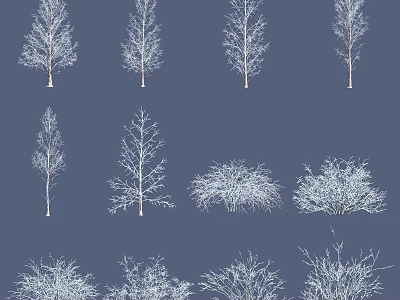 Snow Covered Arboreal Trees In Various Forms On Dark Blue Background 3d model