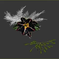 Colorful Flower With White Feather Decorations And Green Long Stemmed Plants In Dark Background