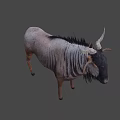 Realistic Wildebeest With Curved Horns Shaggy Mane And Textured Body