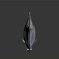 Transparent Fish with Blue Fins Red Accents and Shiny Body on Gray Background