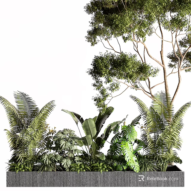 Lush Green Shrubs with Ferns and Large Leaf Plants in Garden Landscape 3d model 