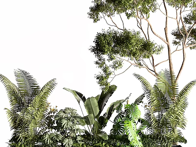Lush Green Shrubs with Ferns and Large Leaf Plants in Garden Landscape 3d model