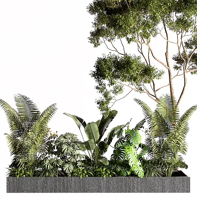 Lush Green Shrubs with Ferns and Large Leaf Plants in Garden Landscape 3d model