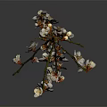 Curved Plum Blossom Branch With White And Pink Flowers On Gray Background With Reflection