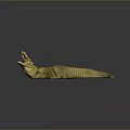 Crocodile Alligator Nile Crocodile carnivore reptile cold-blooded animal reptile 3d model