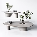 Modern Oval Coffee Table With Smooth Surface Cylindrical Legs And Small Plant Decor