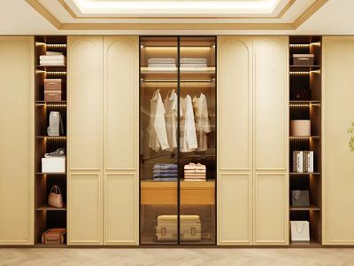Elegant Modern Wardrobe Interior With Glass Doors Hanging Area And Storage Shelves 3d model