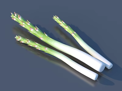 Fresh Asparagus with Green Tips and White Stalks on Gray Surface with Shadows 3d model Fresh Asparagus with Green Tips and White Stalks on Gray Surface with Shadows 3d model