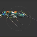 Close up view of colorful metallic beetle with iridescent exoskeleton on dark background