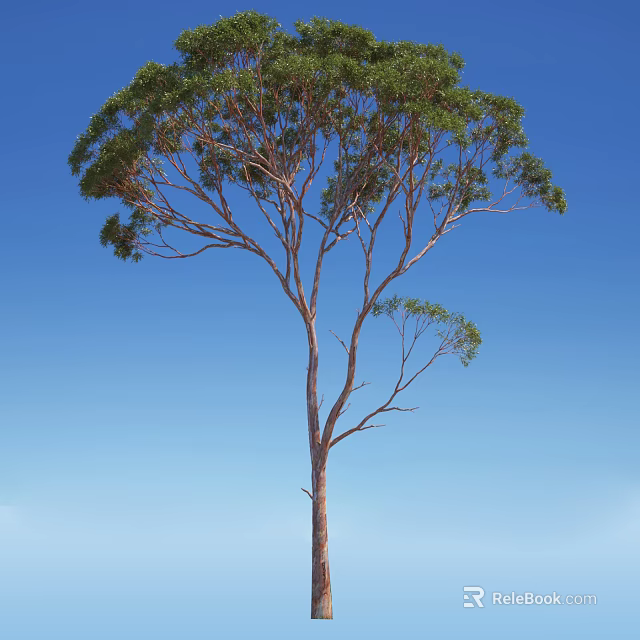 Tall Arbor With Green Leaves And Curved Branches Against Blue Sky 3d model 
