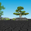 Tree Pit Landscaping Design With Green Trees Stones And Purple Plants
