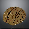 Golden Human Brain With Hair Like Textured Surface And Shiny 3D Rendering