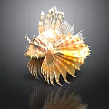 Vibrant Striped Lionfish With Fan Like Fins On Dark Background And Reflection