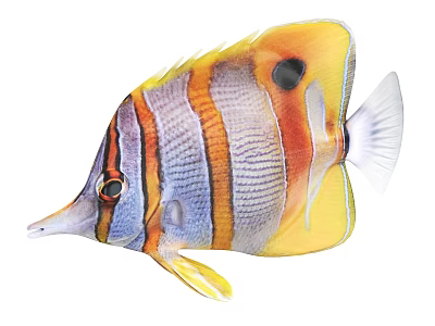 Vibrant Striped Butterflyfish With Spotted Pattern Long Snout And Tropical Colors 3d model