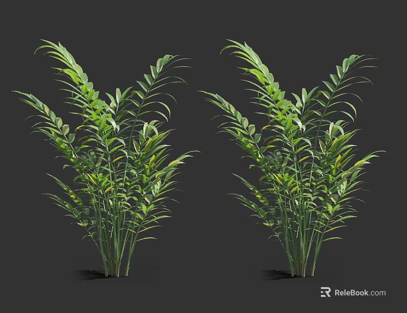 Green Bamboo Plants With Lush Foliage And Long Leaves For Decorative Use 3d model 