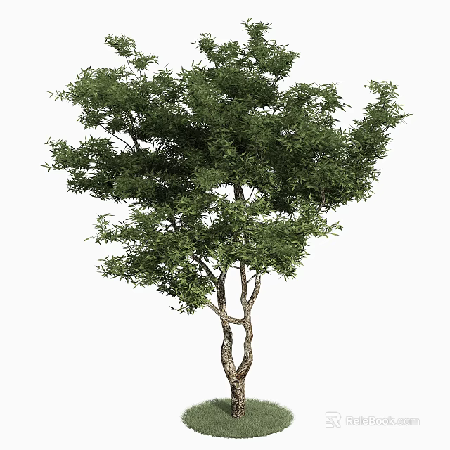 Tall Tree With Lush Green Foliage And Brown Trunk In Garden Landscape 3d model 