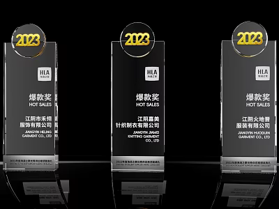 2023 HLA Hot Sales Trophies With Crystal Design And Logos 3d model