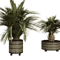 Bonsai Potted Plants With Palm Leaves In Black And Beige Geometric Pattern Pots