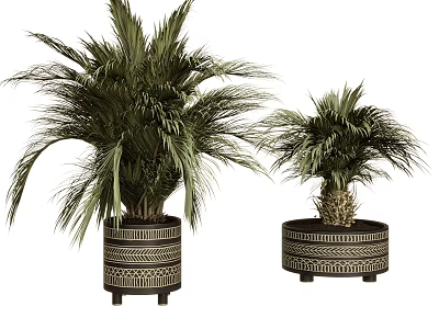 Bonsai Potted Plants With Palm Leaves In Black And Beige Geometric Pattern Pots 3d model
