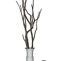 Dry Tree Branches Placed In White Vase Against Plain White Background 3d model