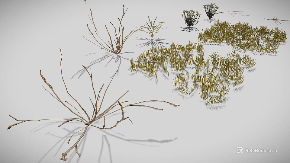 3D Rendered Various Plants Featuring Grass Shrubs Slender Branches And Clustered Leaves In Natural Landscape 3d model 