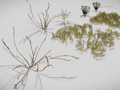 3D Rendered Various Plants Featuring Grass Shrubs Slender Branches And Clustered Leaves In Natural Landscape 3d model