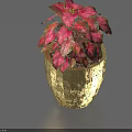 Decorative Indoor Potted Plant With Golden Pot And Red Pink Leaves