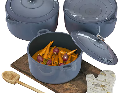 Gray Cookware Set With Lids Carrots Onions Wooden Spoon And Oven Mitts 3d model