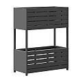 Bonsai Potted Plants Display On Black Two Tiered Storage Shelf
