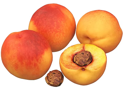 Fresh Ripe Peaches Whole And Sliced With Juicy Flesh And Pit 3d model