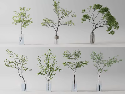 Various Modern Glass Vases With Green Leafy Branches On White Background 3d model