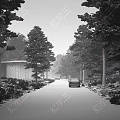 Villa Forest Road Rainy Day Landscape 3d model