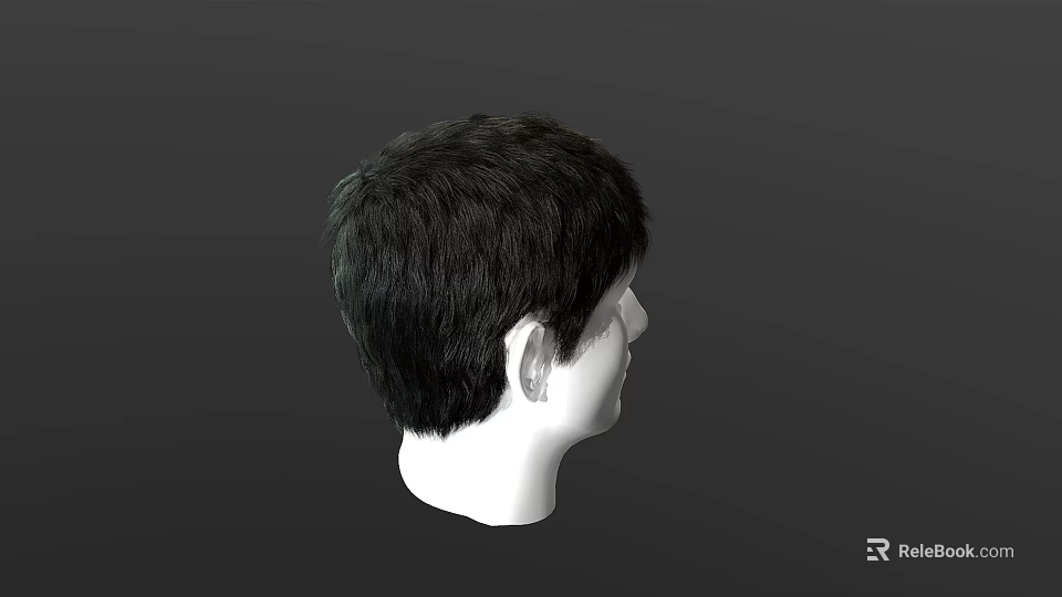 Model Displaying Short Black Hair Side Profile View On White Head Form 3d model 