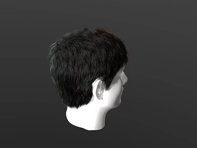 Model Displaying Short Black Hair Side Profile View On White Head Form 3d model