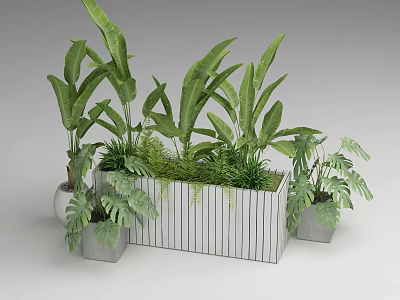 Hanging Basket Plants With Various Green Plants Large Leaves And Ferns In White Planters 3d model