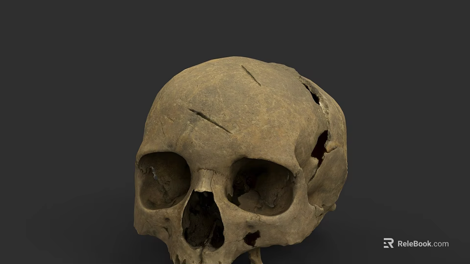 Ancient Human Skull With Cracked Surface And Fossilized Details On Dark Background 3d model 