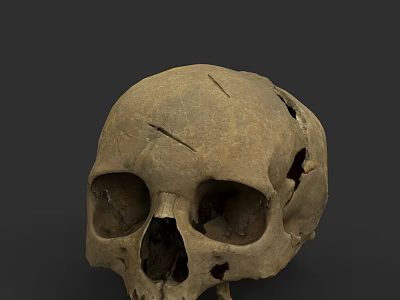 Ancient Human Skull With Cracked Surface And Fossilized Details On Dark Background 3d model