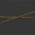 Natural Plant Branches with Green Moss on Brown Stems Against Dark Background