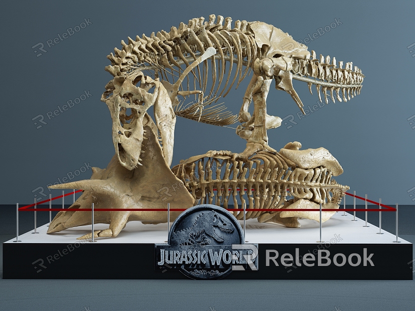 Modern Fossil Dinosaur Fossil model