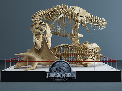 Modern Fossil Dinosaur Fossil 3d model