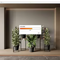 Modern Interior Decor With Multiple Bonsai Potted Plants And Black Planters On Shelf