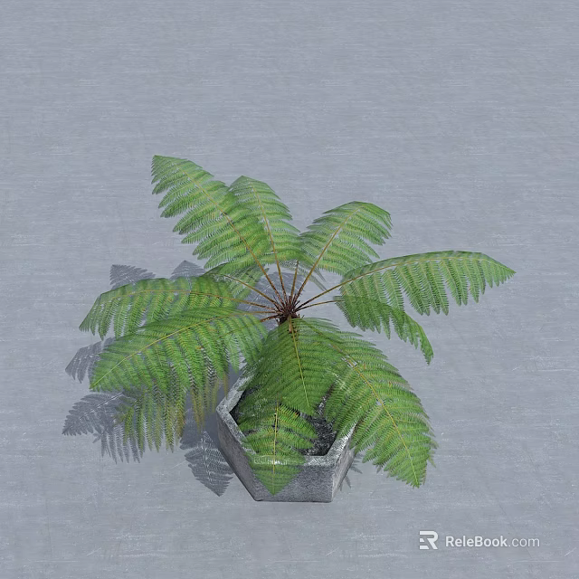 Green Fern Plant With Lush Green Leaves In Hexagonal Gray Pot For Indoor Decor 3d model 