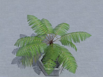 Green Fern Plant With Lush Green Leaves In Hexagonal Gray Pot For Indoor Decor 3d model