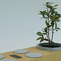 Modern Wooden Public Bench With Circular Seats And Side Planter For Small Plant
