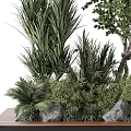 Lush Green Bonsai Potted Plant With Tree Shaped Design And Small Foliage Plants