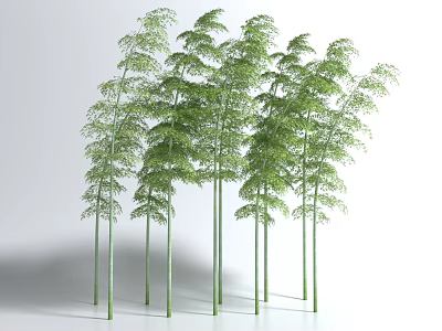 Tall Green Bamboo Plants With Lush Leafy Foliage In Natural Landscape 3d model